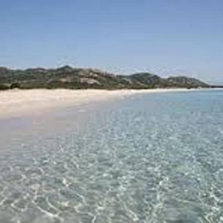 Monolocale Yellow Siniscola Εξωτερικό φωτογραφία