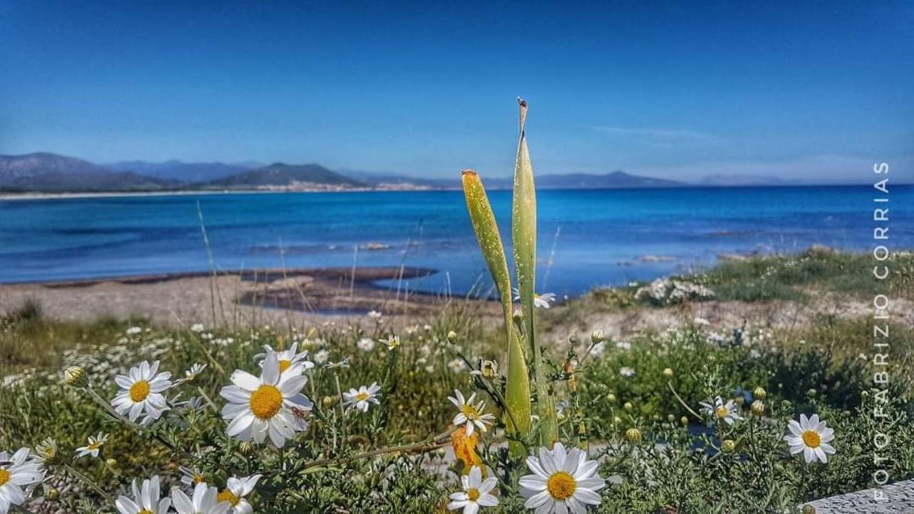 Monolocale Yellow Siniscola Εξωτερικό φωτογραφία