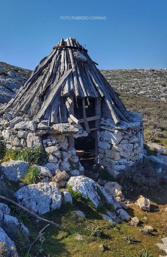 Monolocale Yellow Siniscola Εξωτερικό φωτογραφία
