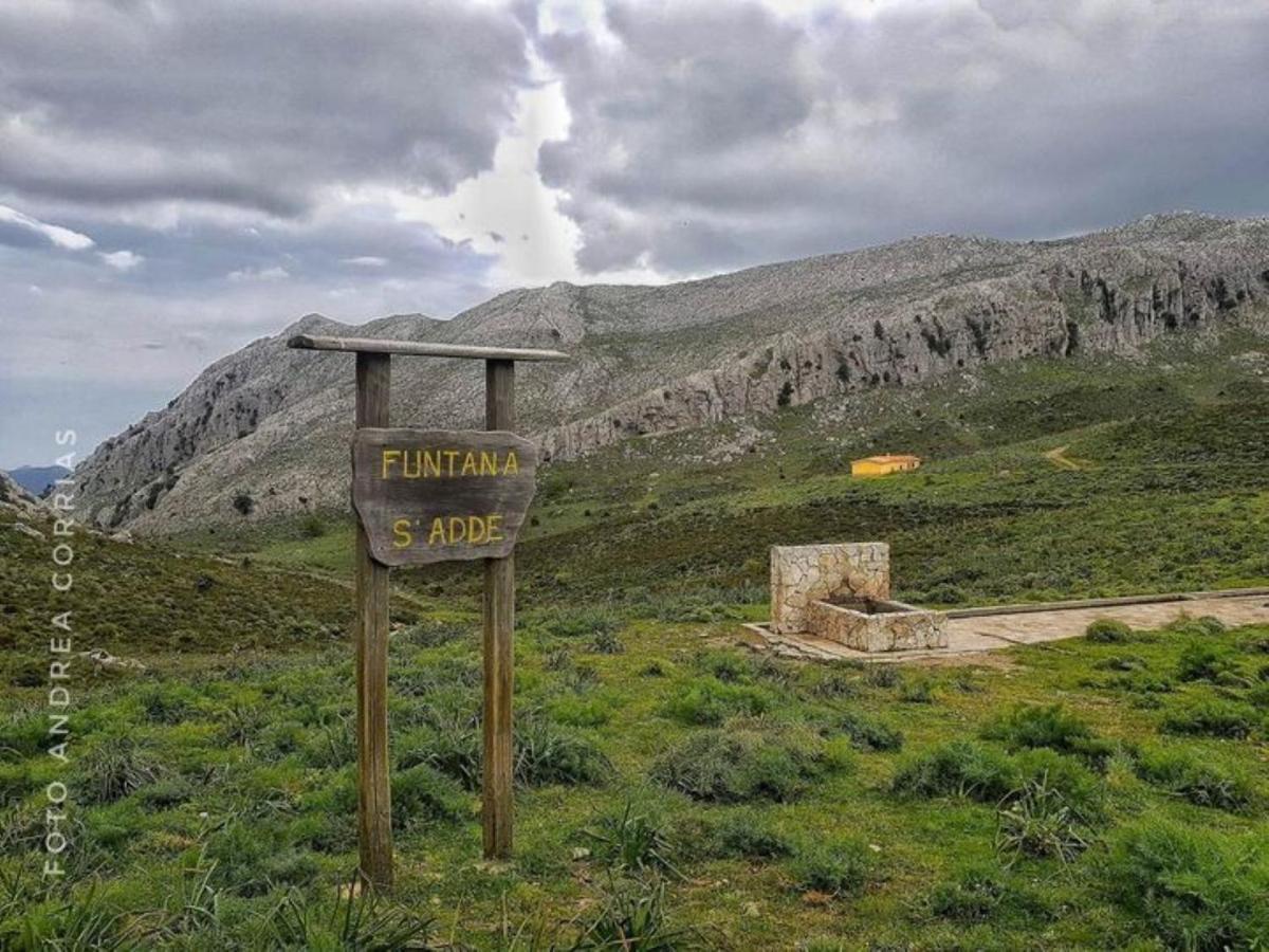 Monolocale Yellow Siniscola Εξωτερικό φωτογραφία